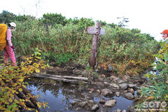 沼の平(八島分岐)