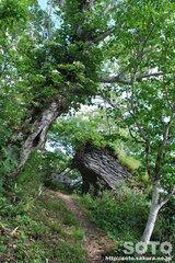 敏音知岳登山(軍艦岩)