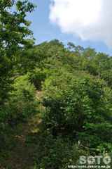 敏音知岳登山(6)