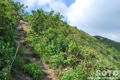 敏音知岳登山(7)