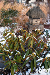 雪景色(2)