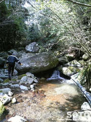 山小屋そばの渓流