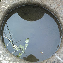 石鉢(2)