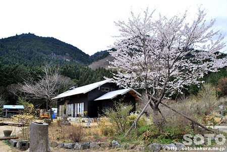 �R�����i�R���j