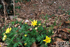 �R�����i�������j