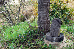 �R�����i�c�̐_�l�ƃc���j�`�j�`�\�E�j