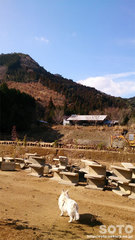 山小屋(1)