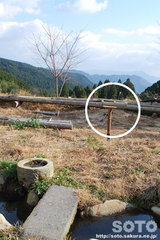 山小屋と餌台(2)