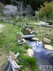 山小屋の庭