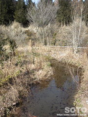 山小屋の小川(2)