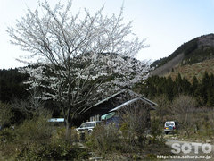 山小屋20130326-1