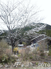 山小屋20130326-2